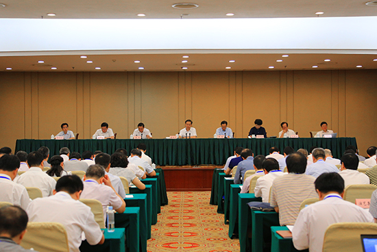 推进会现场。 广西新闻网记者 黄河畅摄.jpg